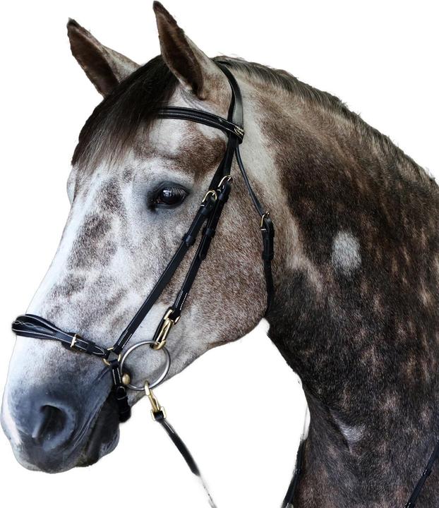 Produktbild PferdeKombihalfter Leder