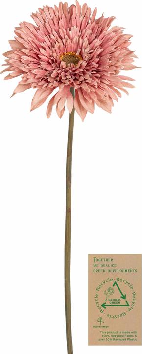 Botanic-Haus Gerbera (63 cm)