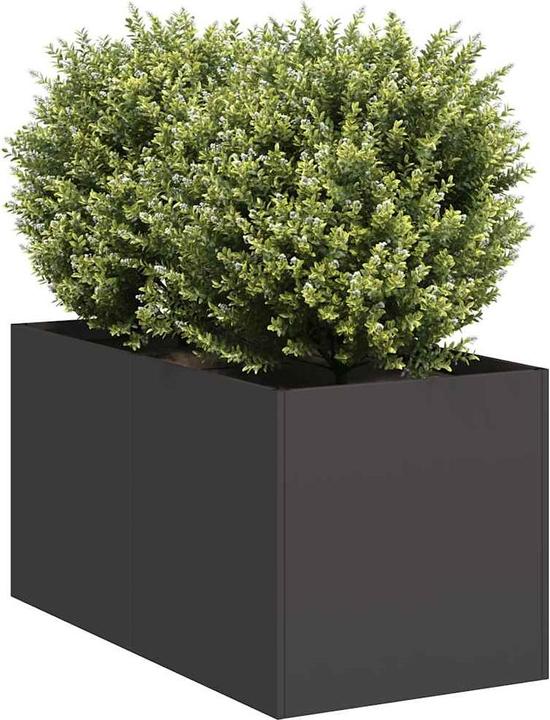 Actual product image vidaXL Pflanzkübel