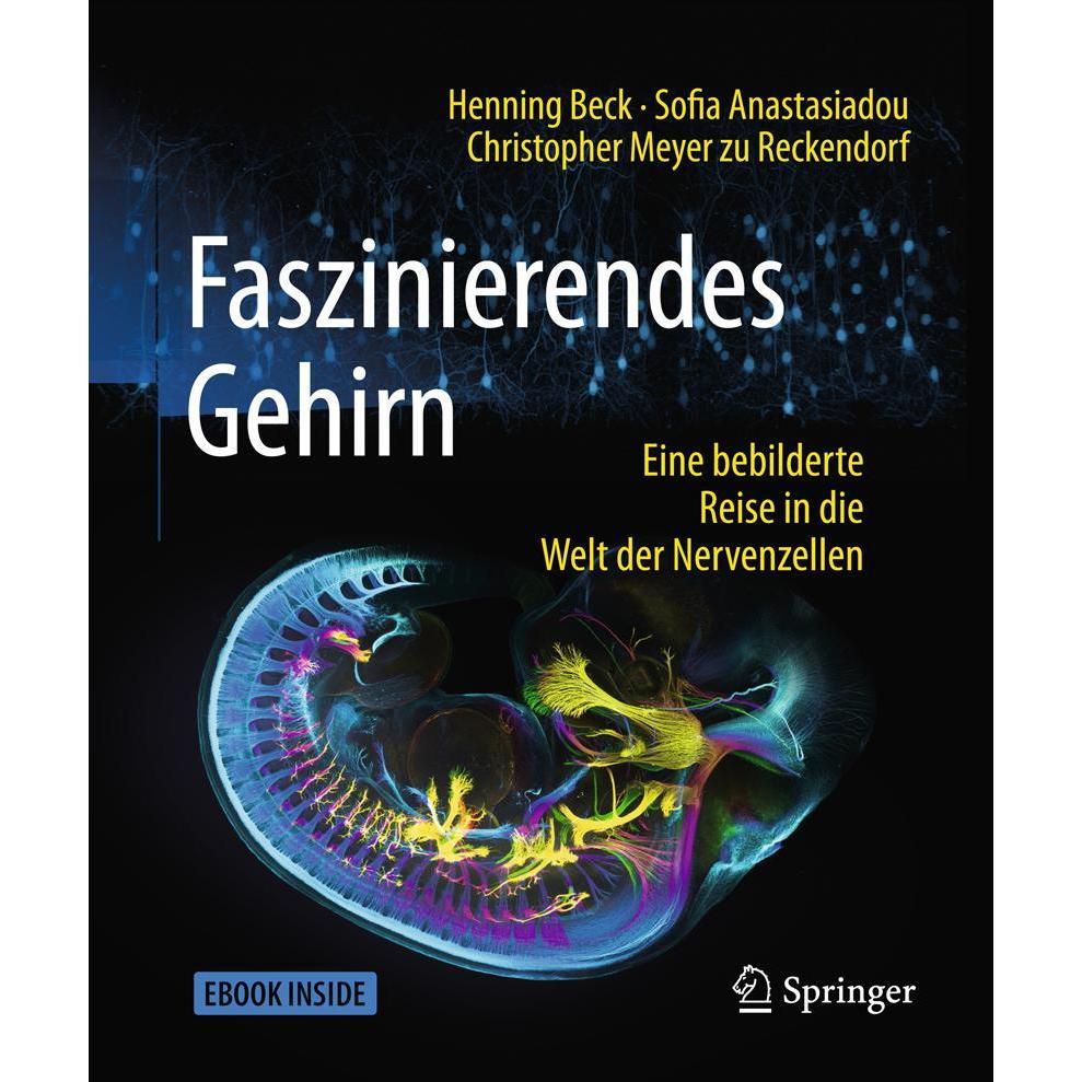 Faszinierendes Gehirn, Sachbücher von Henning Beck