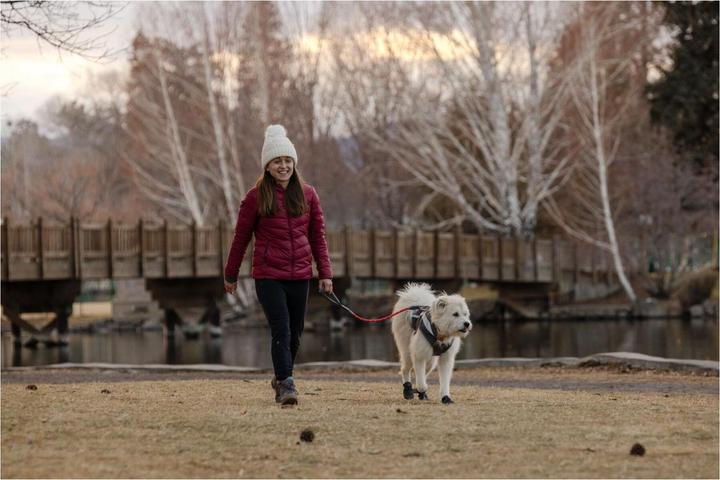 Produktbild Ruffwear Lumenglow Hi-Viz Jacket Hundejacke (XS)
