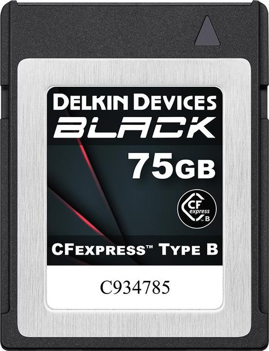 Image du produit Delkin BLACK Cfexpress Type B 75GB (75 Go, CFexpress type B)