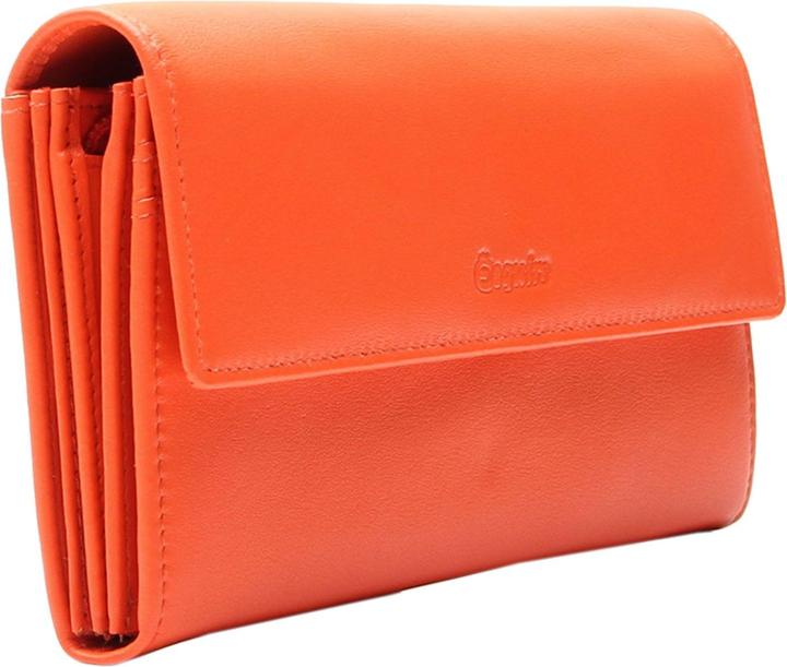 Actual product image Esquire Viktoria Ladies Long Wallet
