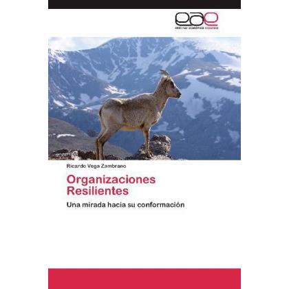 Organizaciones Resilientes, Fachbücher von Ricardo Vega Zambrano
