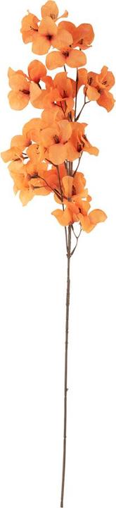 Actual product image present time Flower Stem