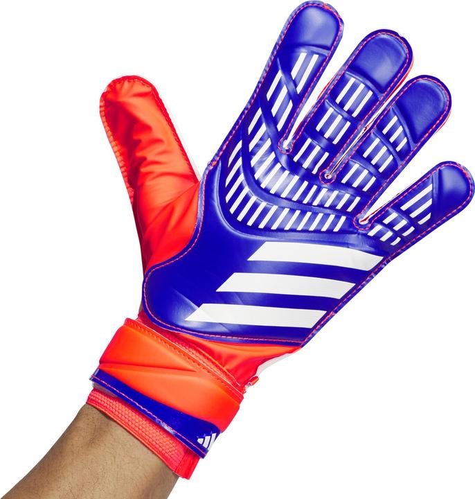 Produktbild Adidas Predator Training Torwarthandschuhe (10, 7)