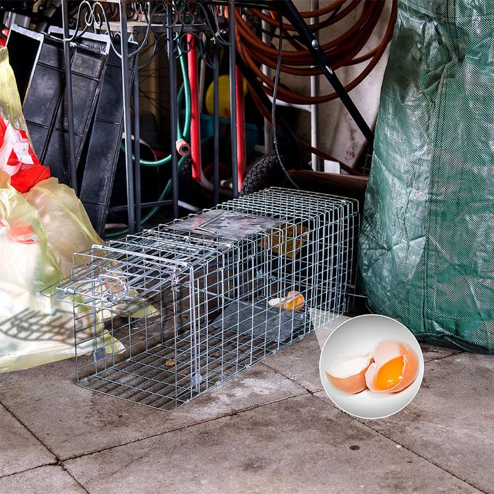 Produktbild Gardigo Marder-Lebendfalle