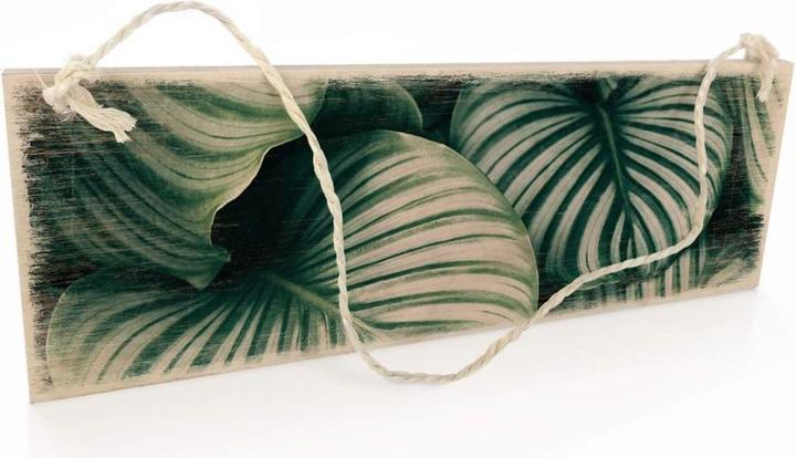Immagine prodotto Trenddeko Giungla urbana Calathea Orbifolia (30 x 10 cm)