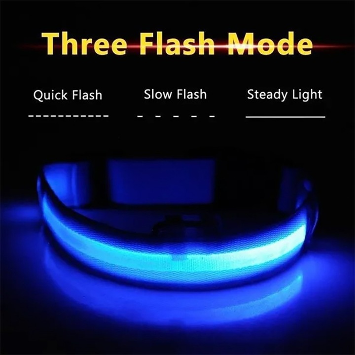 Produktbild Cbx Aufladbares LED-Hundehalsband Grösse XL - 53-57cm (XL, Hund)