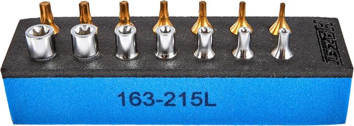 Produktbild HAZET Werkzeug Satz ∙ TORX 163-251/14 ∙ Vierkant6,3 mm (1/4 Zoll) ∙ Aussen TORX Profil, Innen TORX…