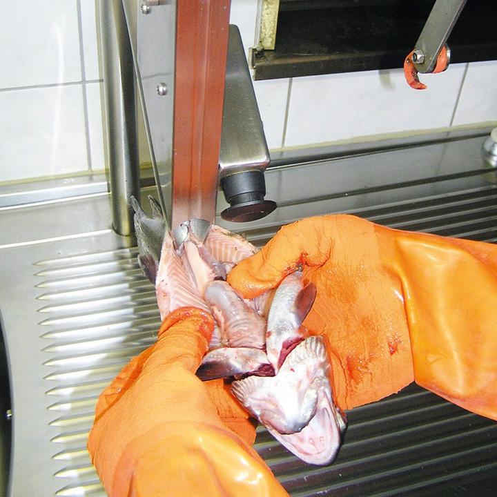 Actual product image Fiap Gloves profiline size 7 (7)