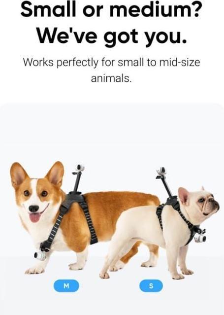 Image du produit Insta360 Harnais pour animaux de compagnie Mount S (Insta360 Go 3, Insta360 GO 3S)