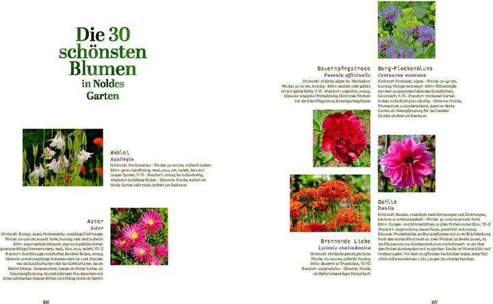 Immagine prodotto Der Garten von Emil Nolde (Tedesco, Magdalena Moeller, 2025)