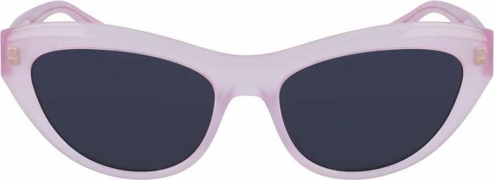 Image du produit Salvatore Ferragamo Ladies' Sunglasses SF1103S-5517663 Ã˜ 55 mm