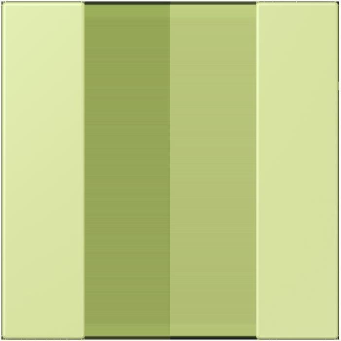 Produktbild JUNG Tastensatz