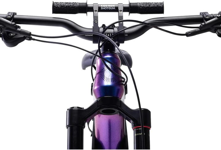Actual product image Kids Ride Shotgun Shotgun Seat Combo 2.0 (Bike frame)