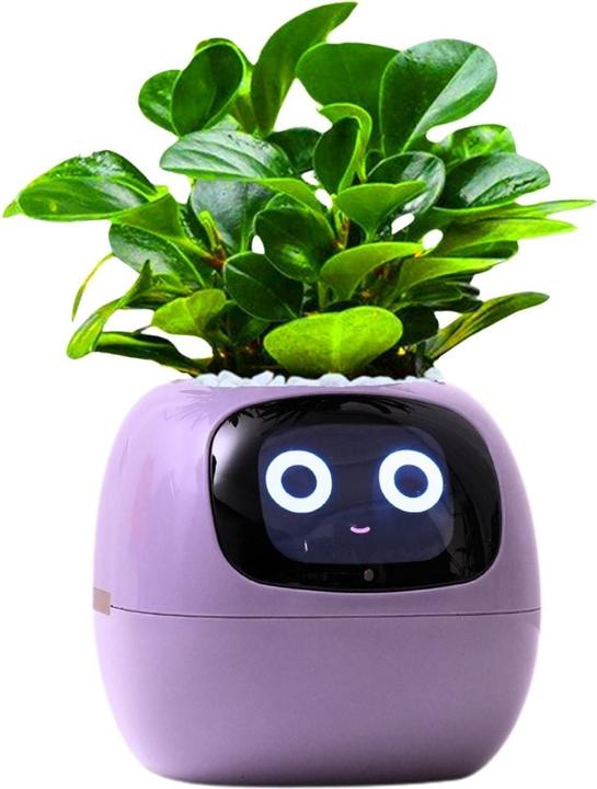 Produktbild Hermex Ivy Smart Planter (9 x 11 x 9 cm)