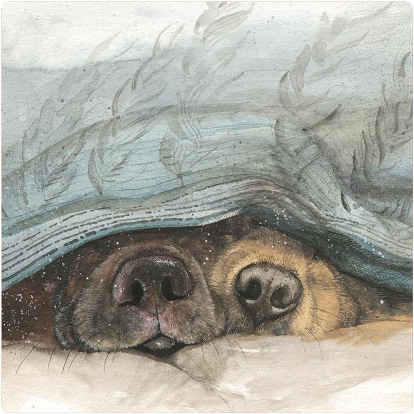 Teka, Magneti, Magnet FM210 Hundenasen