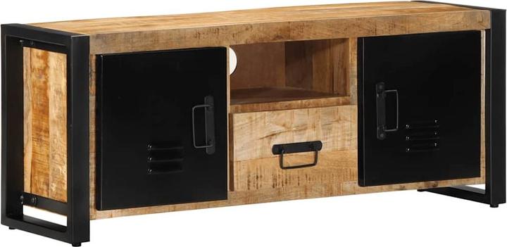 Image du produit vidaXL TV-Schrank (100 x 30 x 40 cm)