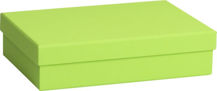 Immagine prodotto Stewo Scatola regalo monocolore (Scatola da regalo, 1 x)