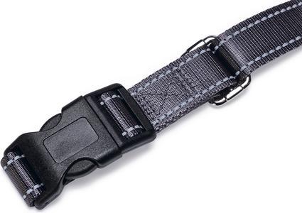 Immagine prodotto Beeztees BZ SH JOGGINGL+USB GRIGIO 180-20 (Cane, Jogging)