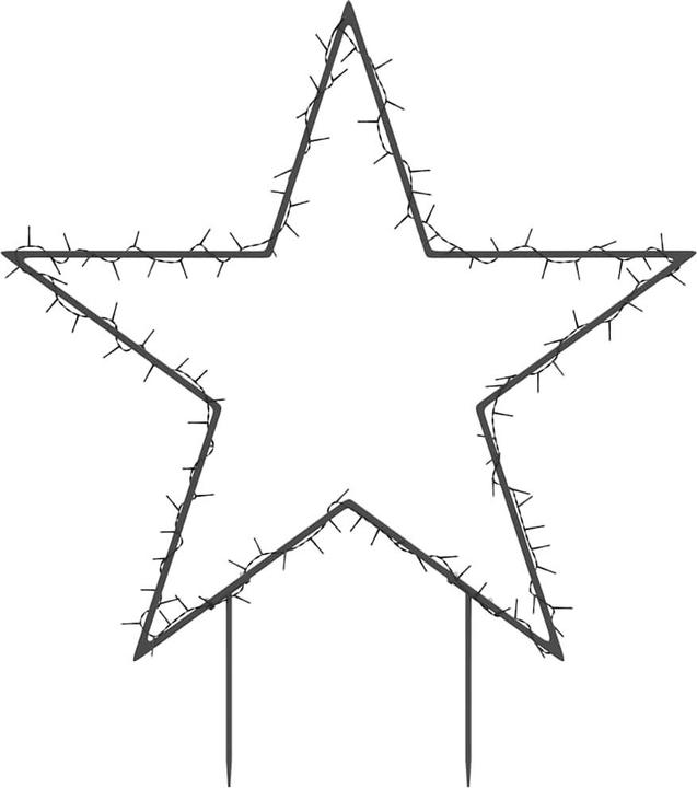 Image du produit vidaXL Weihnachtsstern