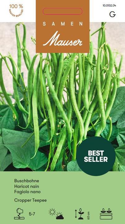 Produktbild Samen Mauser Buschbohne Daisy (Gemüsesamen)
