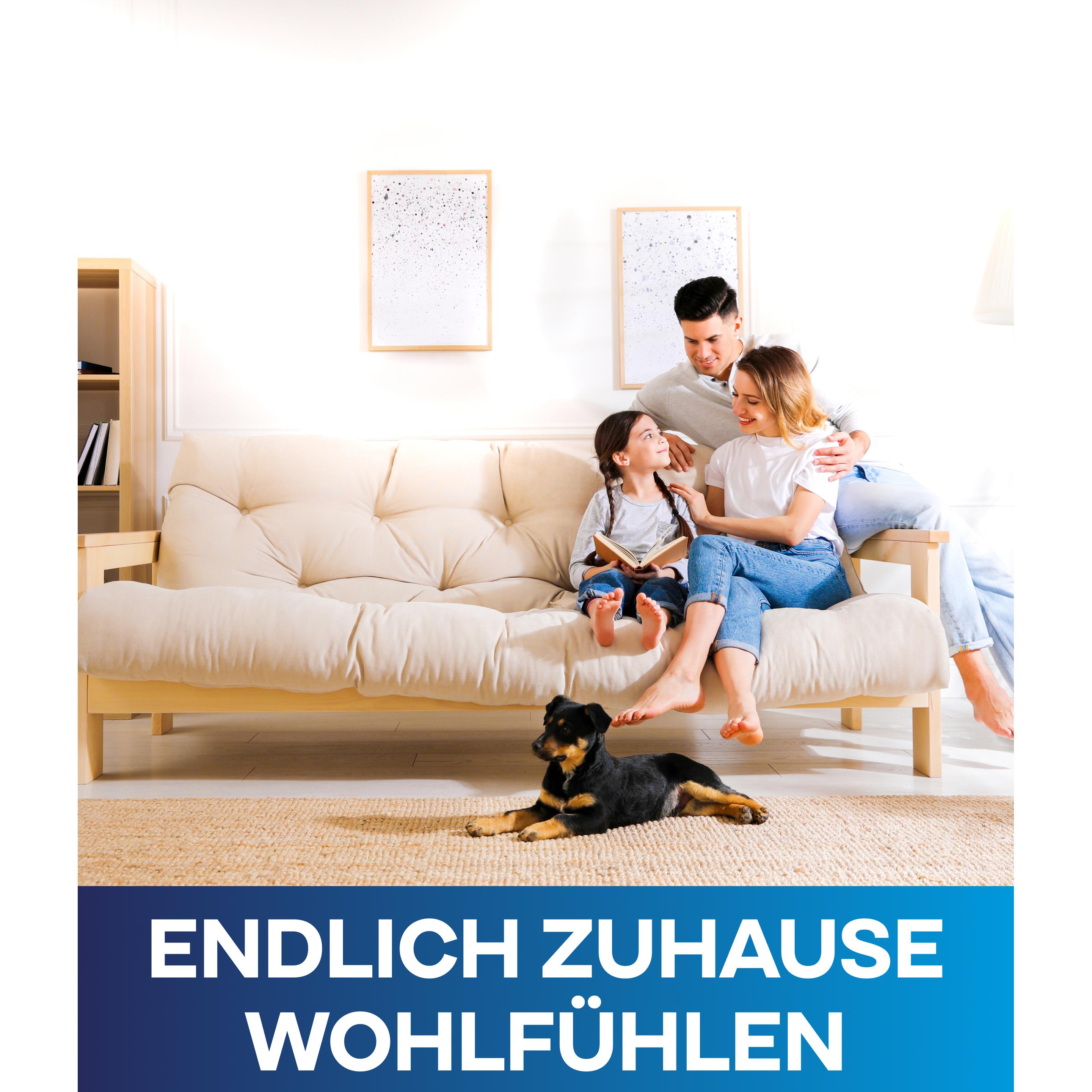 Thumbnail - Plid, Wandfarbe + Spezialfarbe, Anti Schimmelfarbe Innen 5l, Weiss - Antischimmelfarbe für feuchte Räume (Weiss, 5 l)