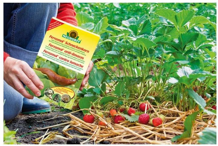 Image du produit Neudorff Granules anti-limaces (Escargots)