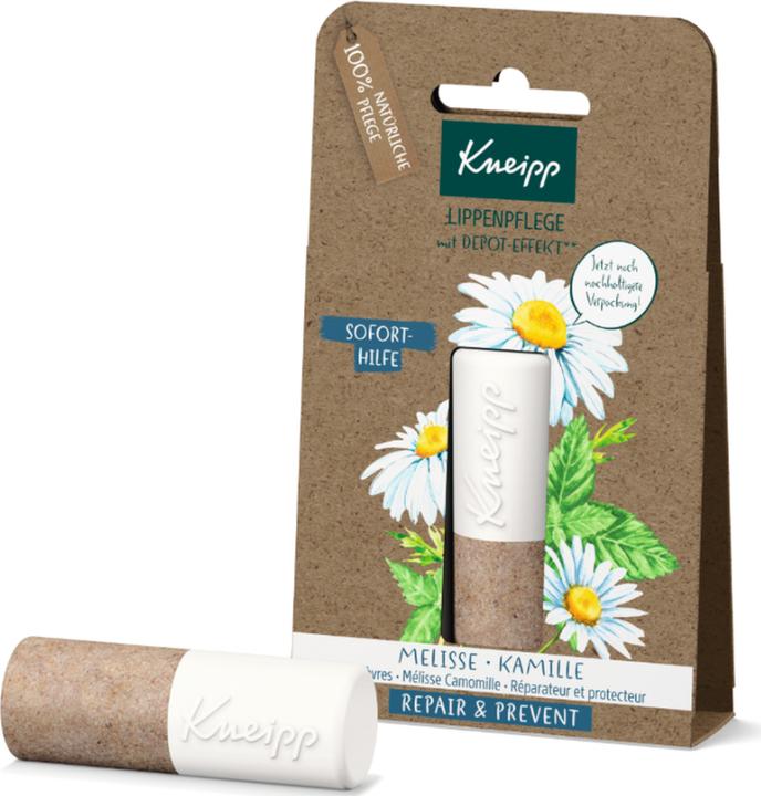Actual product image Kneipp lip care balm, 1 pack (Lip Care Stick)