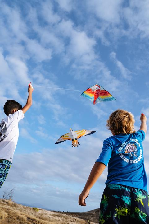 Immagine prodotto Tribord Flugdrachen statisch Kinder - MFK150 Vogel
