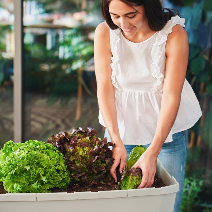 Actual product image Gusta Garden Raised Bed SAMMY SALAD Starter Set, Light Gray