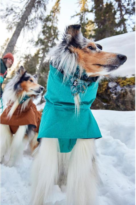 Immagine prodotto Hurtta Monsoon V2 Eco verde mackintosh, 30 cm (30, Cappotto impermeabile per cani)