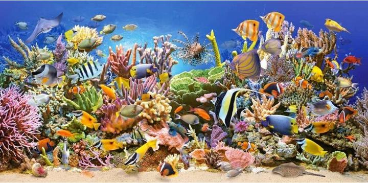Produktbild Castorland Underwater life (4000 Teile)