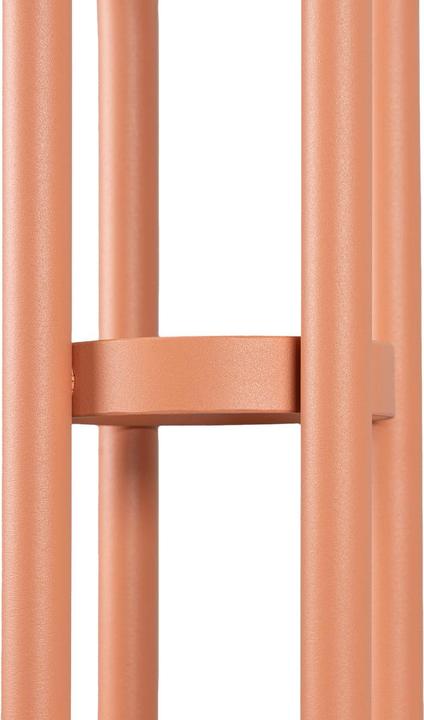 Image du produit Spinder Design Taff