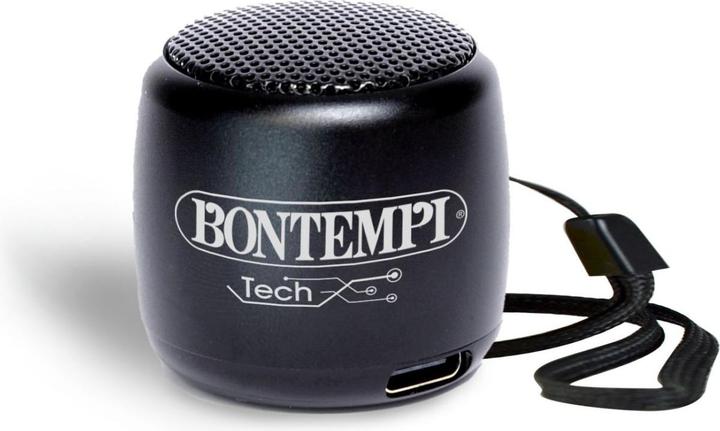 Immagine prodotto Bontempi Wireless Tierlautsprecher ass.