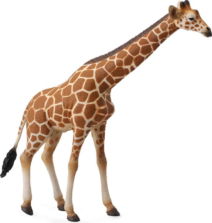 Image du produit Collecta Girafe Réticulée (Xl)