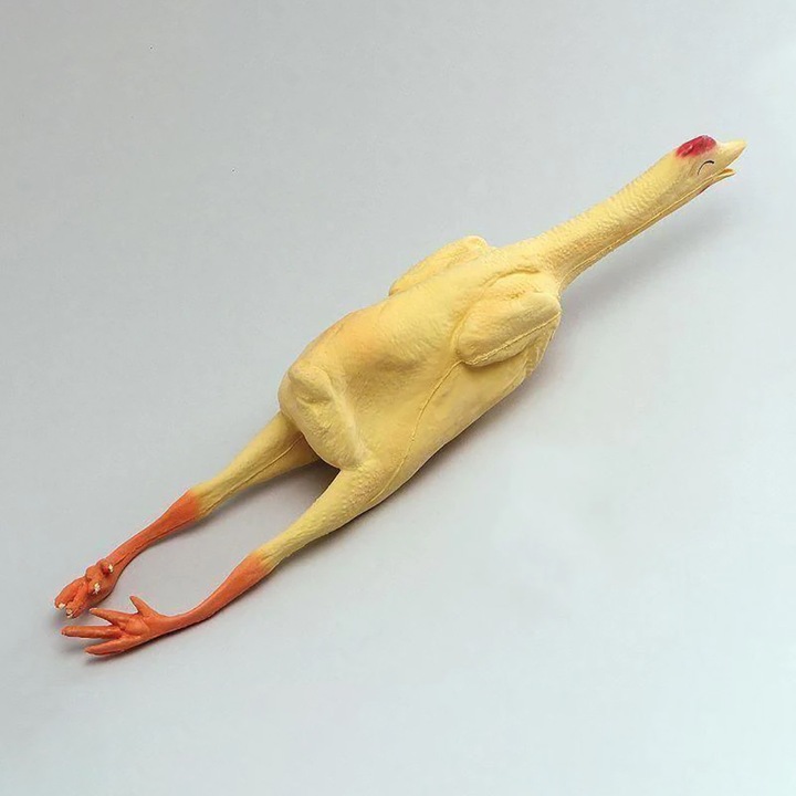 Immagine prodotto Bristol Novelty Pollo spennato fatto di plastica