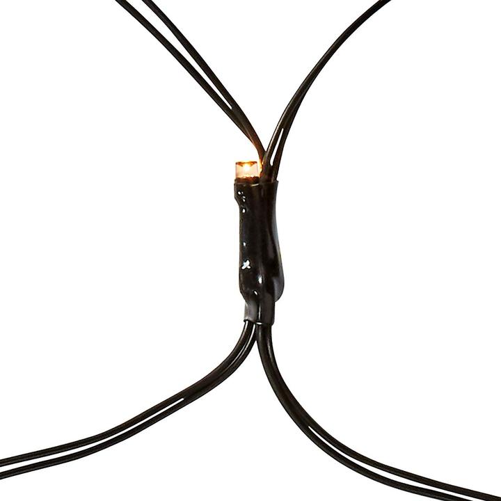 Actual product image Nedis SmartLife Decorative LED | Wi-Fi | Warm White | 280 LED's | 3 x 2 m | Android™ / IOS (3 m)