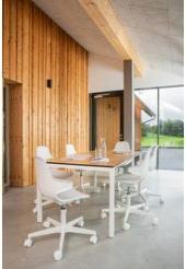 Produktbild Topstar Sitness Life 20 (42 - 53 cm)