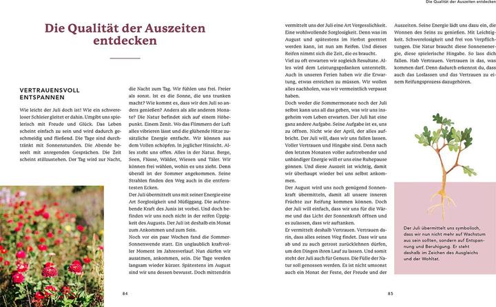 Produktbild Naturrituale im Rhythmus des Jahres (Deutsch, Susana Garcia Ferreira, 2023)