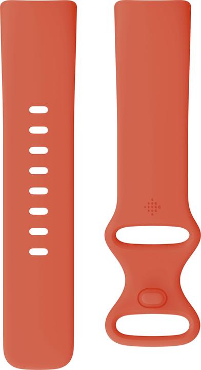 Produktbild Fitbit Charge 6 (36.73 mm)