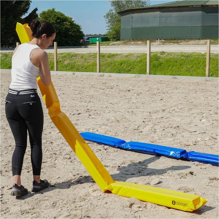 Immagine prodotto Dönges Vicolo per cavalli à 300 x 17 x 10 cm, giallo