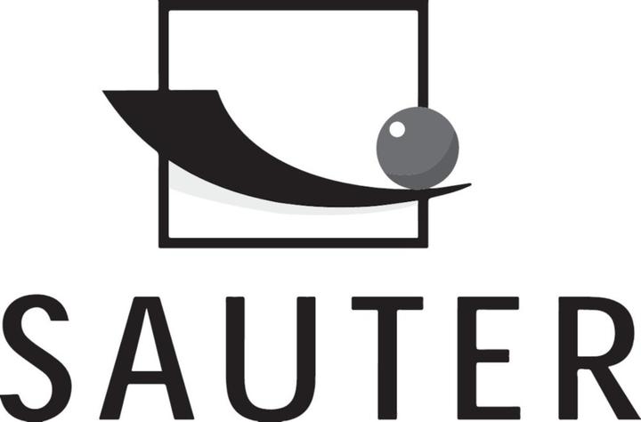 Produktbild Sauter Schlagkörper Typ