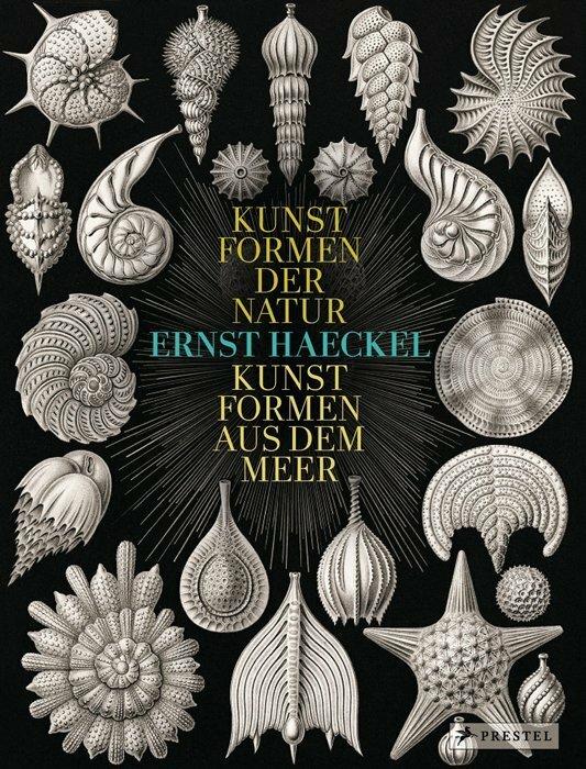Produktbild Ernst Haeckel (Deutsch, Olaf Breidbach, 2012)