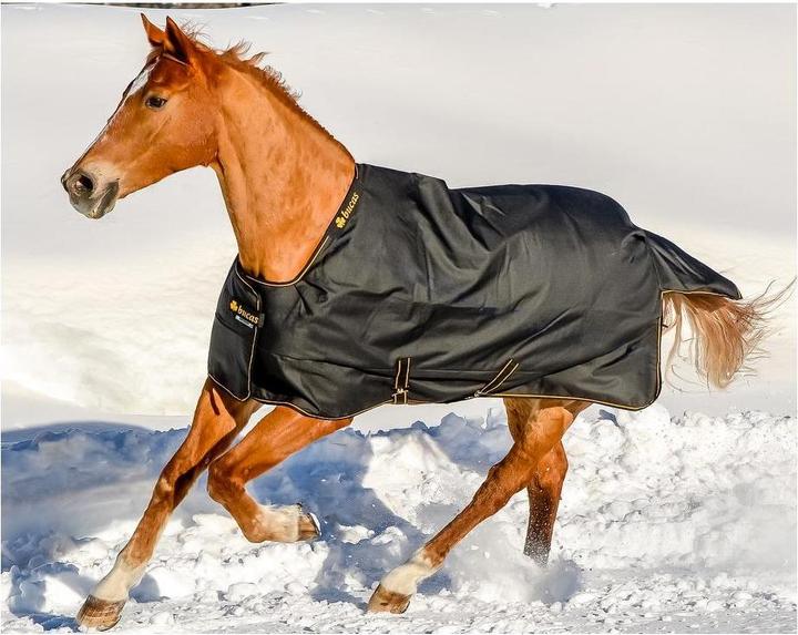 Produktbild Bucas Irish Turnout EXTRA Classic 300g Isolation (165 cm)