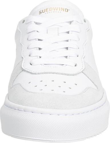 Actual product image Suedwind Footwear Copenhagen (37)