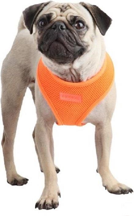 Immagine prodotto Puppia Imbracatura per il petto A (XL, Cane, Passeggiare)