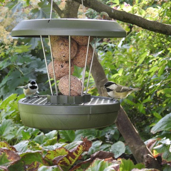 Actual product image Swissinno Vogel-Futtersilo "Lucerne" Smart Birds