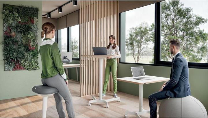 Actual product image Leitz Ergo Compact Workstation Electric height-adjustable desk (80 x 60 x 130 cm)